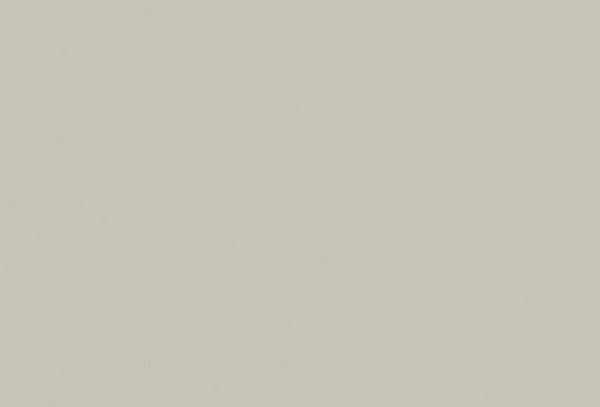 Nolte Fine_Lack Platingrau